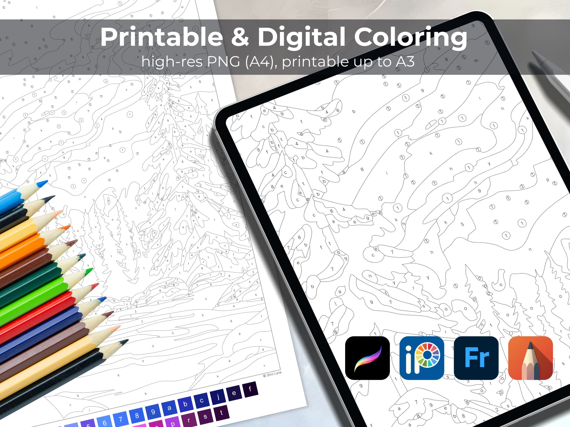 Polar Lights - Image 5