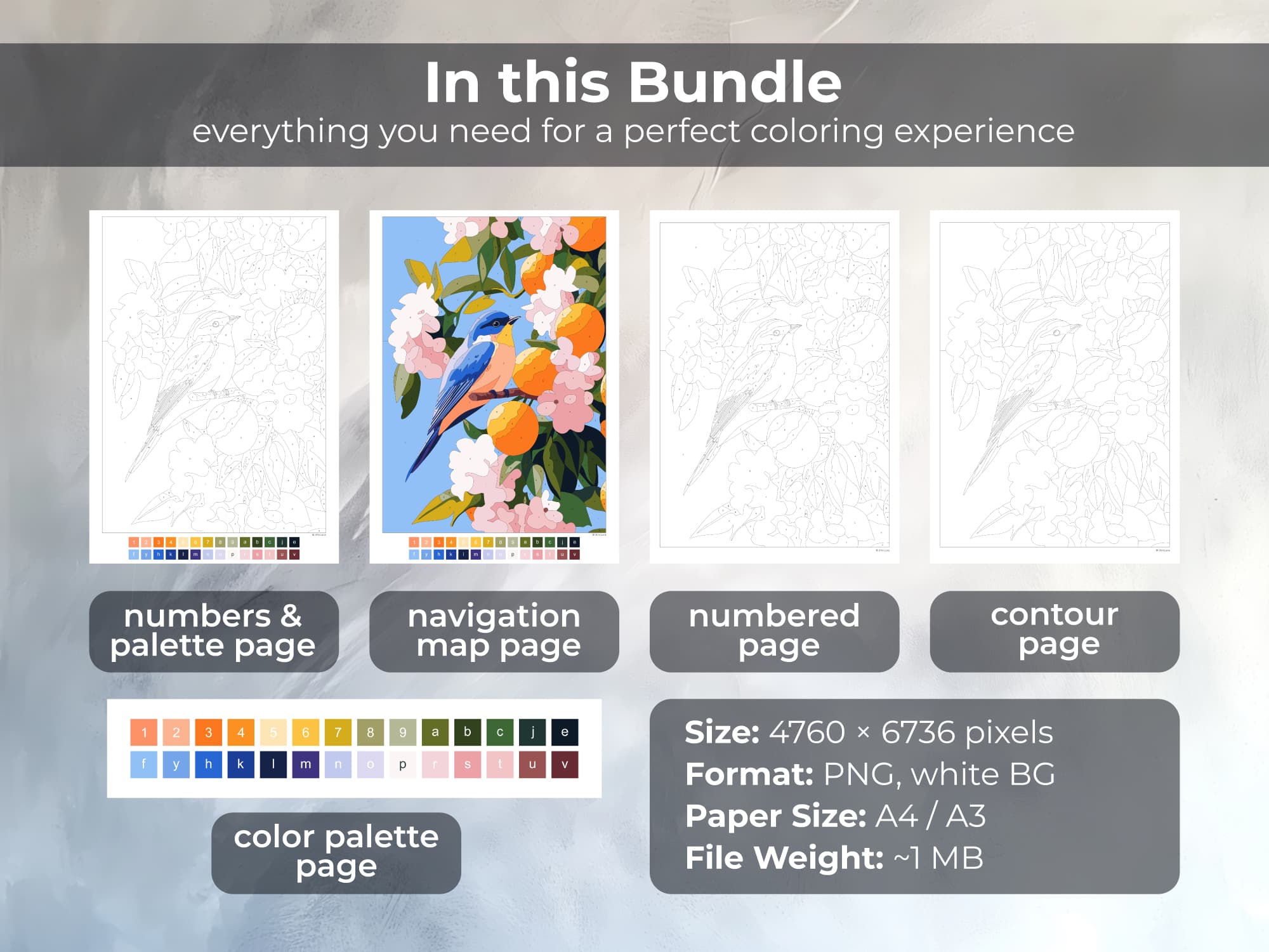 Spring Bird - Image 2