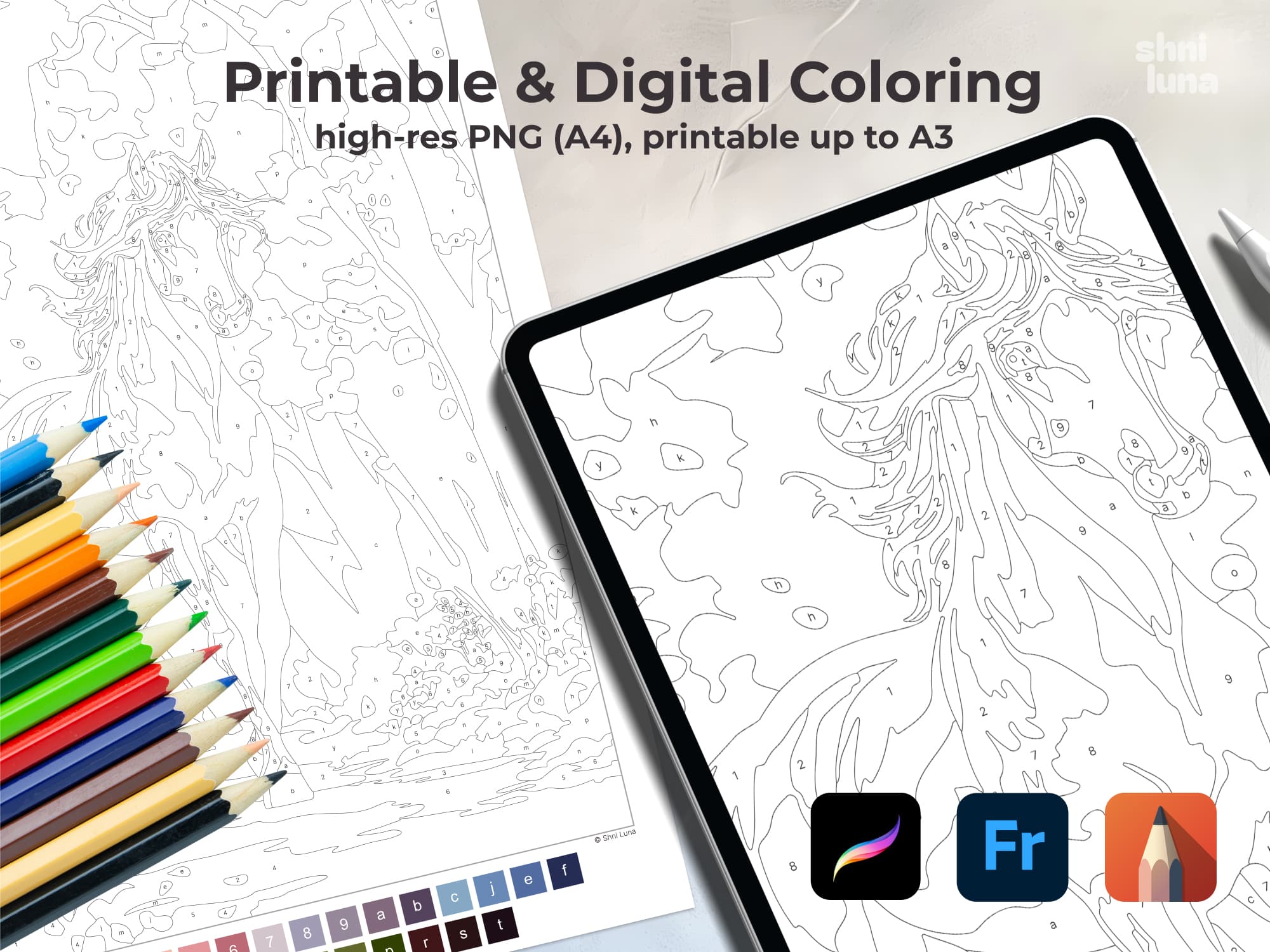 White Horse - Image 4