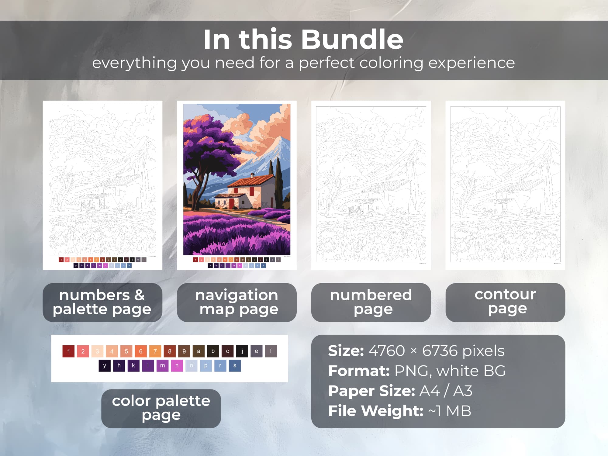 Lavender Field - Image 2