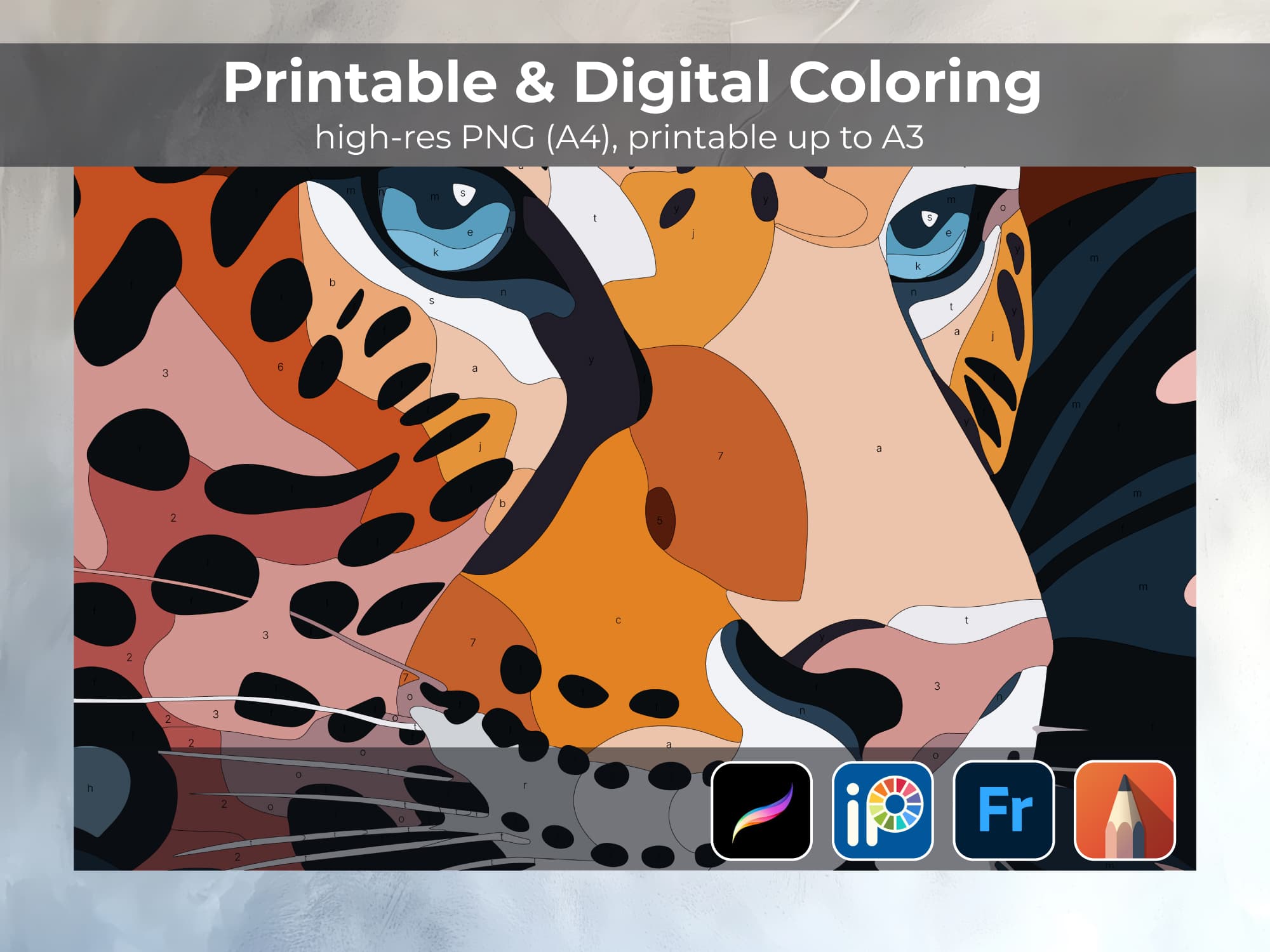 Bold Leopard - Image 3