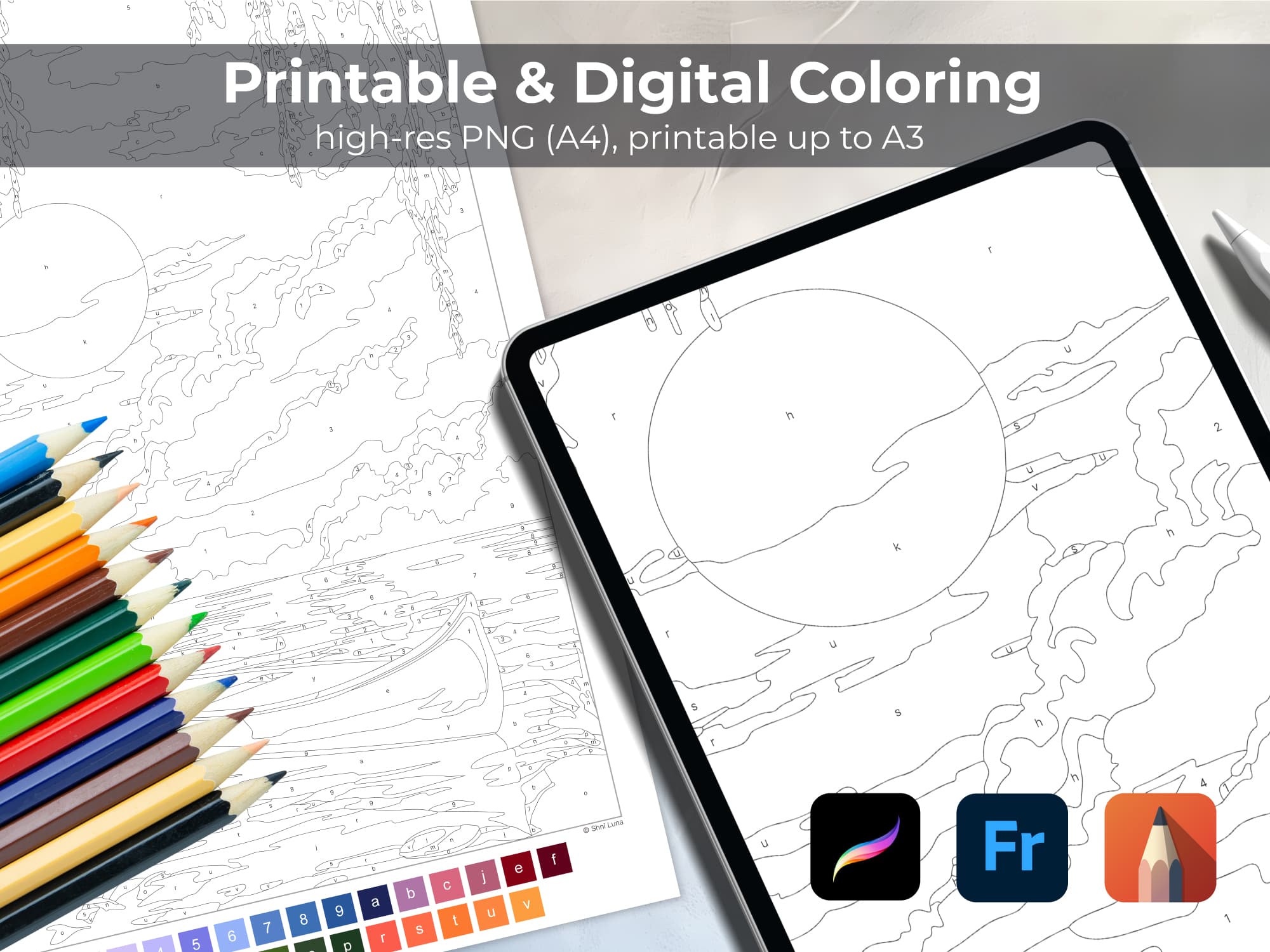 Golden Sunset - Image 3