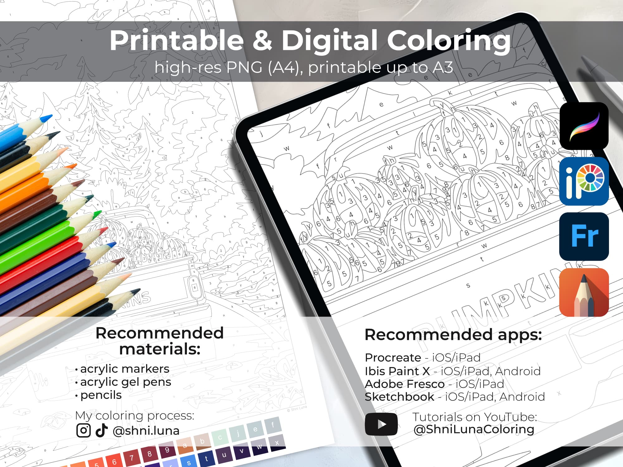 Pampkin Truck - Image 5