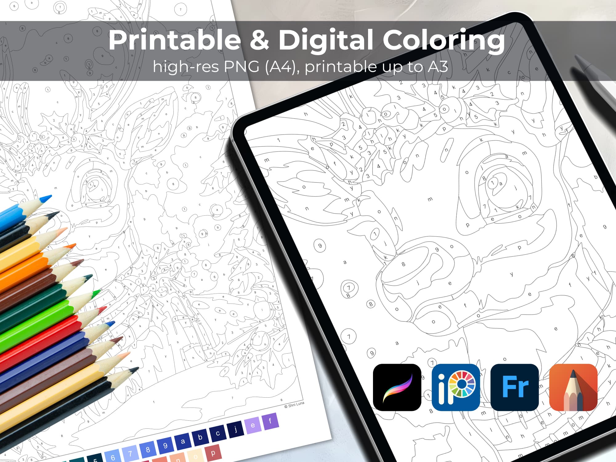 Snowy Reindeer - Image 5