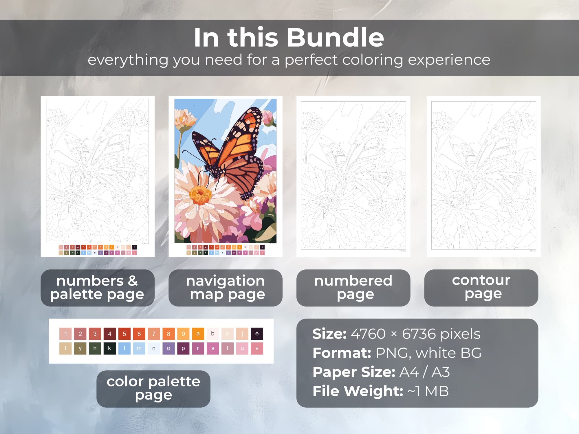 Delicate Butterfly - Image 2