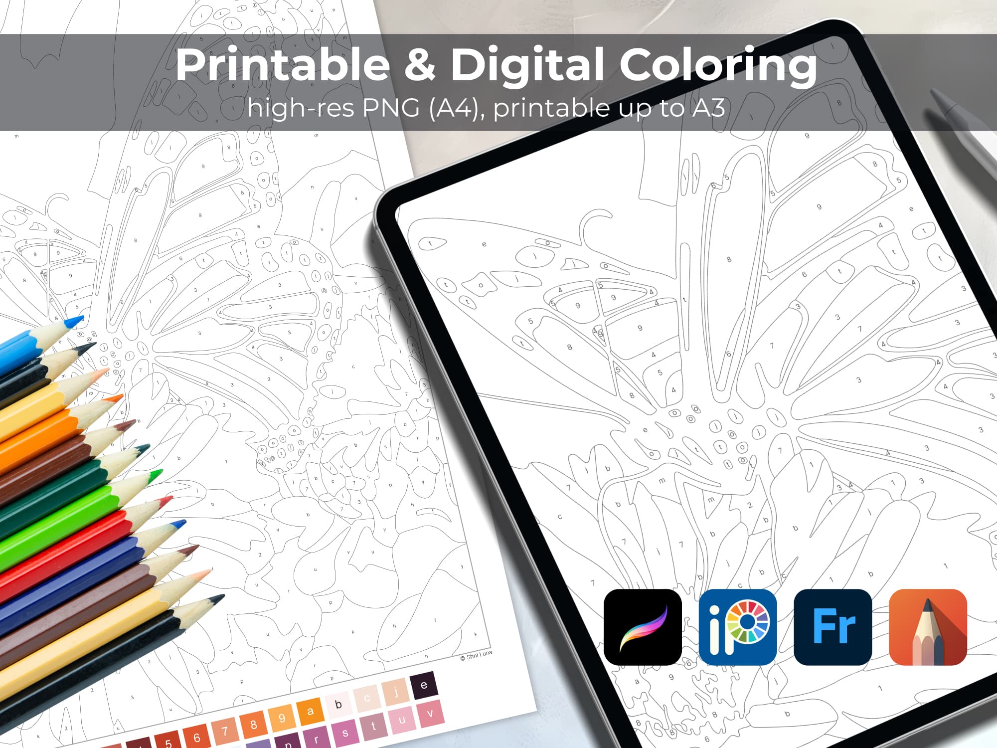 Delicate Butterfly - Image 4