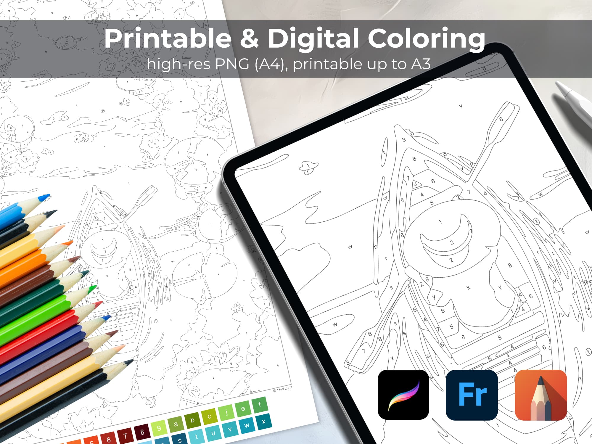 Lotus River - Image 4