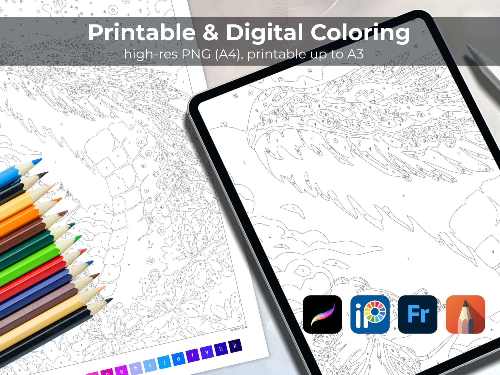 Dragon Girl - Image 5