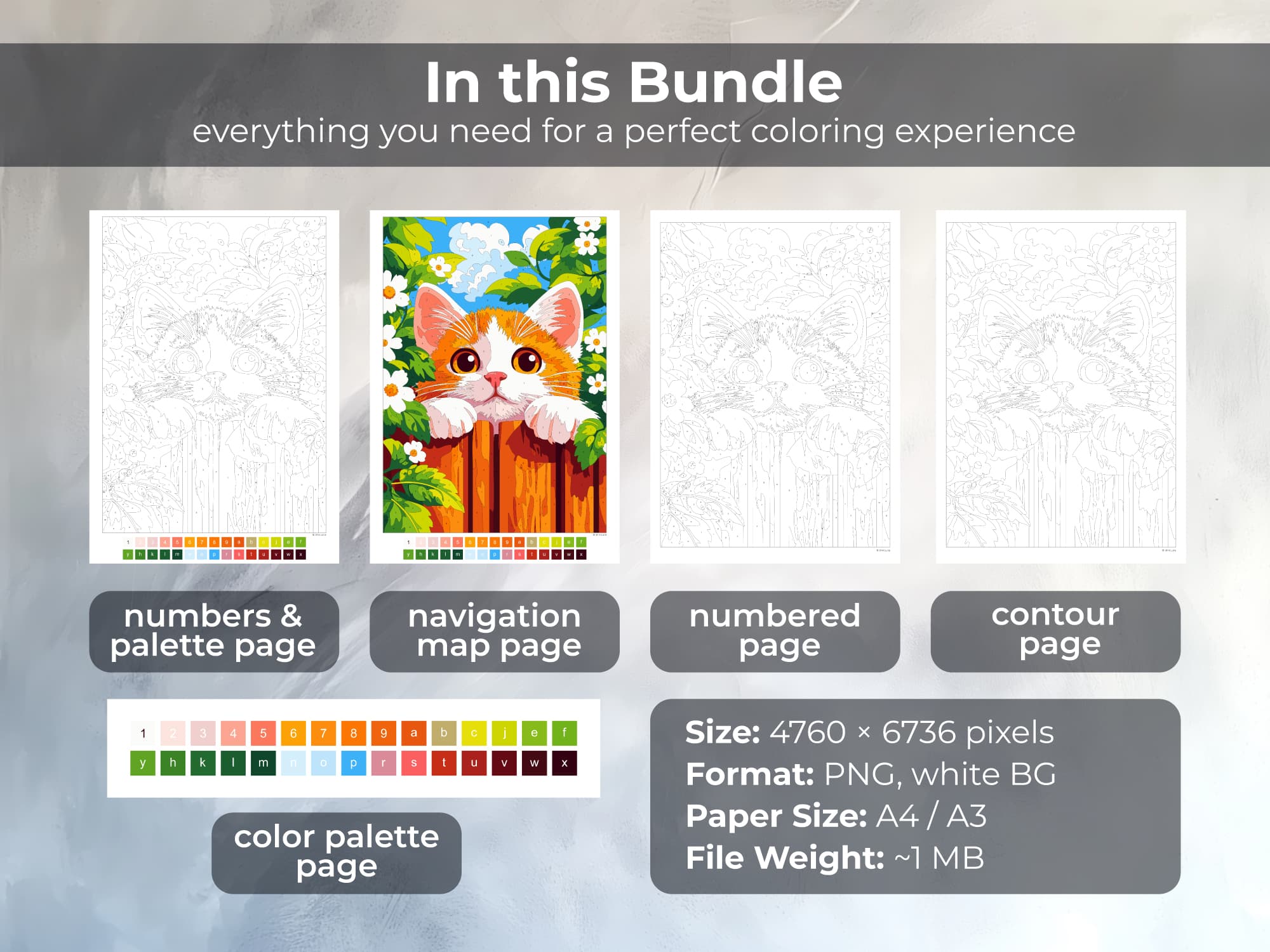 Curious Red Cat - Image 3