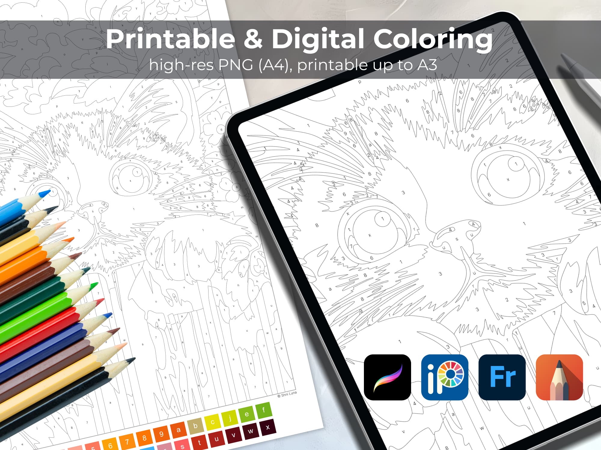 Curious Red Cat - Image 5